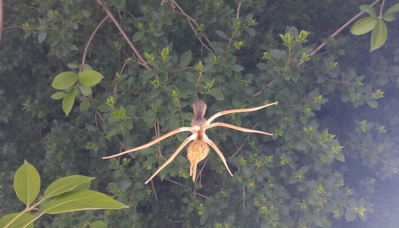 découvrez les soins holistiques et leurs bienfaits sur le corps et l’esprit pour un équilibre harmonieux et un bien-être global.